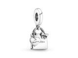 Pandora | Charm | Sac Shopping Pandora | 799536C00_