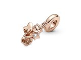 Pandora | Charm | Ange à Ailes en forme de Cœur | 789650C01_