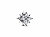 Pandora | Charm | Etoile Polaire Scintillante | 793591C01_