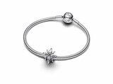 Pandora | Charm | Etoile Polaire Scintillante | 793591C01_