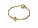 Pandora | Charm | Noeud de l'infini | 763755C00_