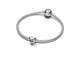 Pandora | Charm | Coeur | Les Petits Monstres de Maman | 793768C01_