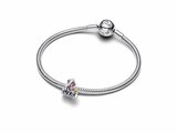 Pandora | Charm | Disney | Dumbo & Mum | 793751C01_
