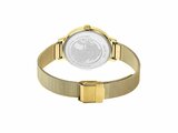 Bering | Femme | Quartz | Coffret | Classic | ø34mm | 13434-334-GWP_