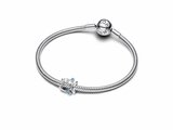 Pandora | Charm2 | Poisson Ajouré | 793819C01_