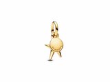 Pandora | Charm |  Double | Etoile de Mer | 763892C01_