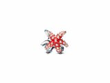 Pandora | Charm | Mini Etoile de Mer Colorée | 793817C01_