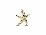 Pandora | Charm | Etoile de Mer Bleue Scintillante | 763818C01_