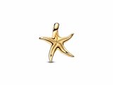 Pandora | Charm | Etoile de Mer Bleue Scintillante | 763818C01_