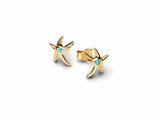 Pandora | Boucles d'Oreilles | Etoile de Mer | 263820C01_