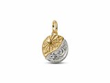 Pandora | Charm | Médaillon | Soleil et Lune | Bicolore | 763977C01_