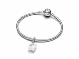 Pandora | Charm | Ours Polaire | Résine | 794243C01_