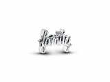 Pandora | Charm | Family | 794250C01_