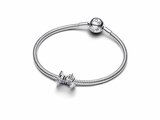 Pandora | Charm | Family | 794250C01_