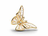 Pandora | Charm | Papillon | 764487C01_