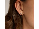 Ti Sento | Boucles D'Oreilles | Argent | Plaqué Or | Oxyde De Zirconium | 78082ZY_
