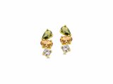 Naiomy Silver | Boucles d'Oreilles | Plaqué Or | Oxyde de Zirconium | N6E65_