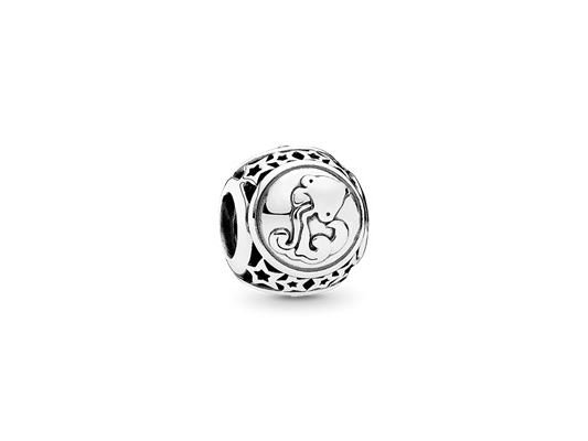 Pandora | Charm | Verseau | 791934 Pandora | Charm | Verseau | 791934