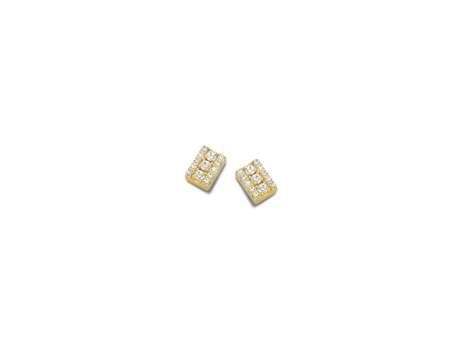 Naiomy Silver | Boucles d'Oreilles | Plaqué Or | B2M55