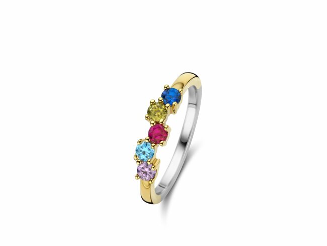 Naiomy Silver | Bague | Argent | Plaqué Or | Multicolore | N4M73