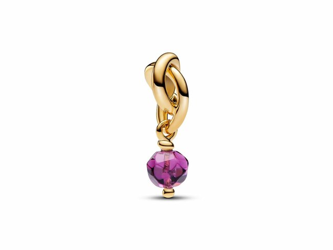 Pandora | Charm | Cercle d'Eternité | Février | Violet | 763462C02