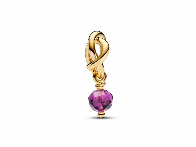 Pandora | Charm | Cercle d'Eternité | Février | Violet | 763462C02