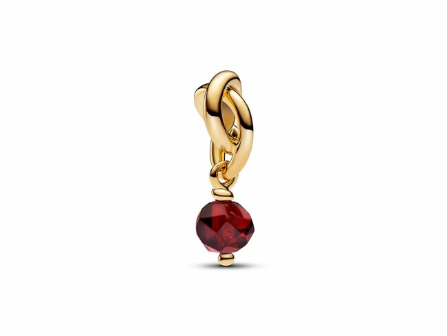 Pandora | Charm | Cercle d'Eternité | Janvier | Rouge /Brun | 763462C01