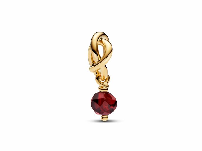 Pandora | Charm | Cercle d'Eternité | Janvier | Rouge /Brun | 763462C01