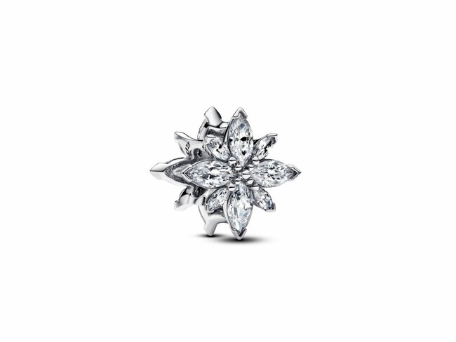 Pandora | Charm | Etoile Polaire Scintillante | 793591C01