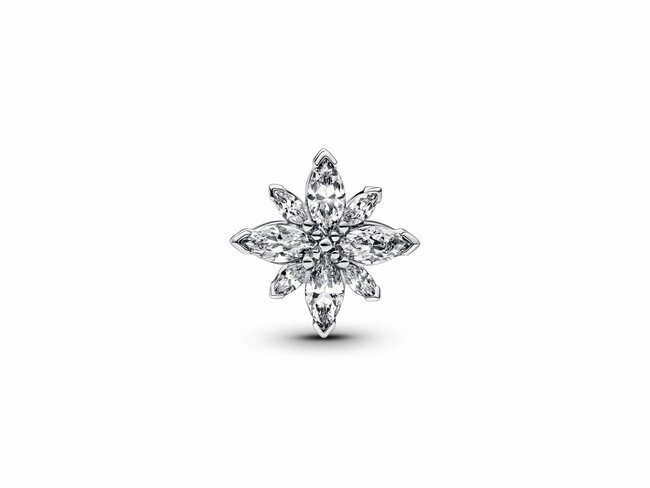 Pandora | Charm | Etoile Polaire Scintillante | 793591C01