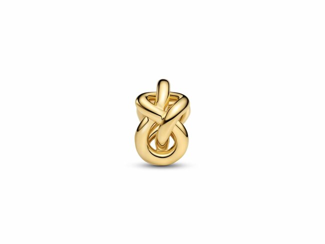 Pandora | Charm | Noeud de l'infini | 763755C00 Pandora | Charm | Noeud de l'infini | 763755C00