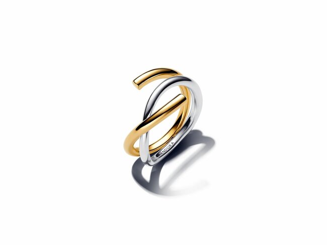 Pandora | Bague | Double | de Forme Organique | Bicolore | 163889C00 Pandora | Bague | Double | de Forme Organique | Bicolore | 163889C00