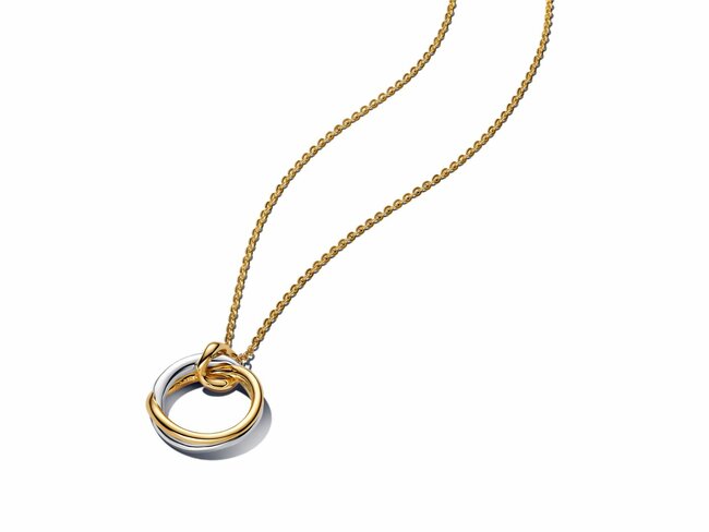 Pandora | Collier | Forme Organique | Bicolore | 363882C00 Pandora | Collier | Forme Organique | Bicolore | 363882C00
