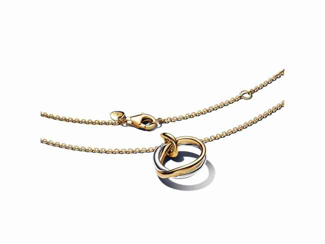 Pandora | Collier | Forme Organique | Bicolore | 363882C00 Pandora | Collier | Forme Organique | Bicolore | 363882C00