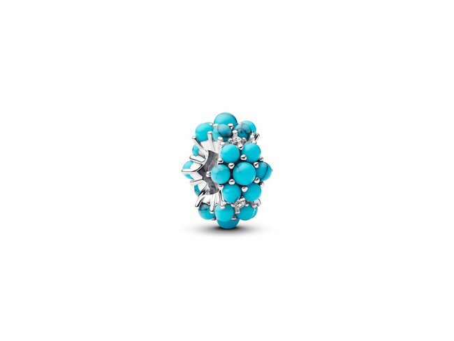 Pandora | Charm | Océan Couleur Turquoise | 793897C02 Pandora | Charm | Océan Couleur Turquoise | 793897C02
