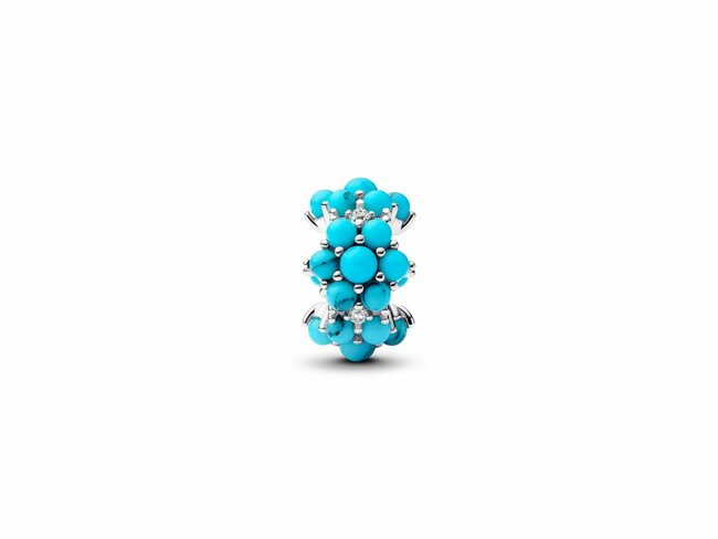 Pandora | Charm | Océan Couleur Turquoise | 793897C02 Pandora | Charm | Océan Couleur Turquoise | 793897C02