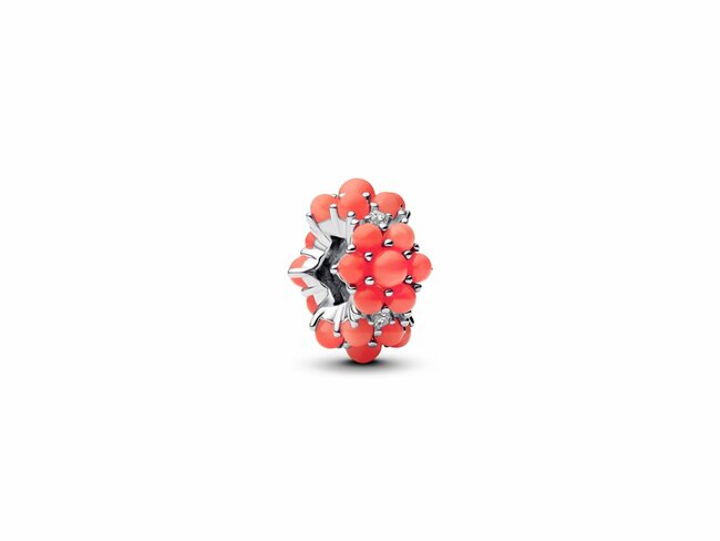 Pandora | Charm | Océan Couleur Corail | 793897C01 Pandora | Charm | Océan Couleur Corail | 793897C01