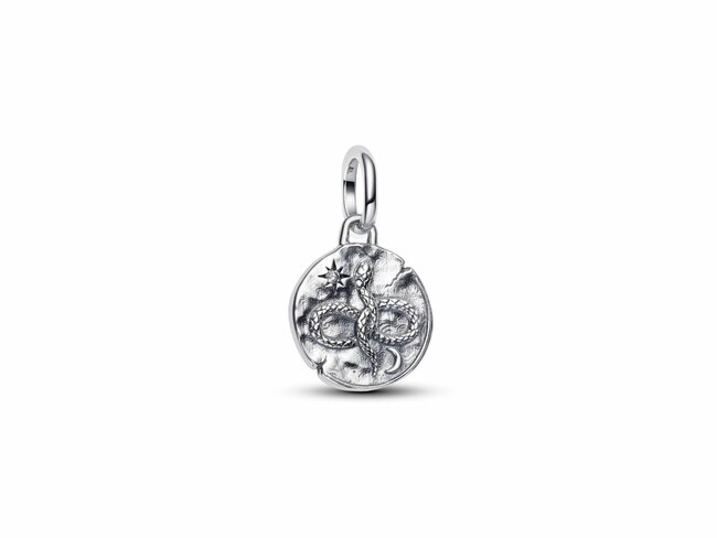 Pandora | Charm | Médaillon | Serpent Infini | 793976C01