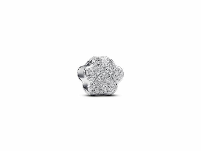 Pandora | Mini Charm | Patte Texturé | Argent | 794043C00