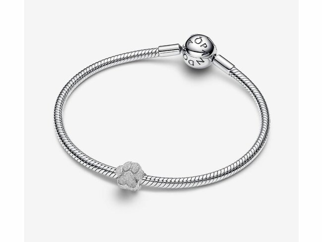 Pandora | Mini Charm | Patte Texturé | Argent | 794043C00