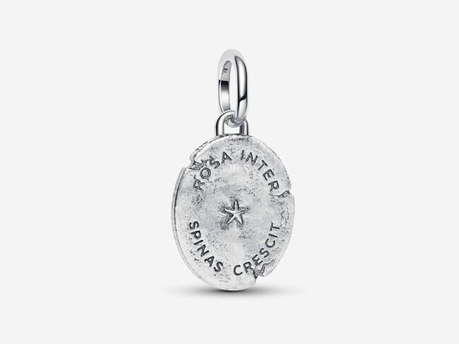Pandora | Charm | Médaillon | Rose | Bicolore | 764087C00