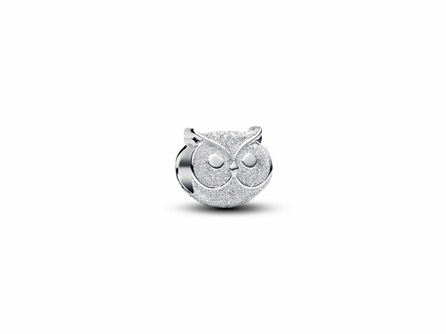 Pandora | Charm | Mini Chouette Texturé | 794525C00