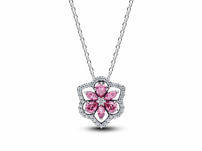 Pandora | Collier | Argent | Fleur Rose Herbier Scintillant | 394576C01