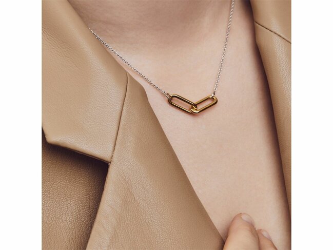 Ti Sento | Collier | Argent | Bicolore | 3966SY
