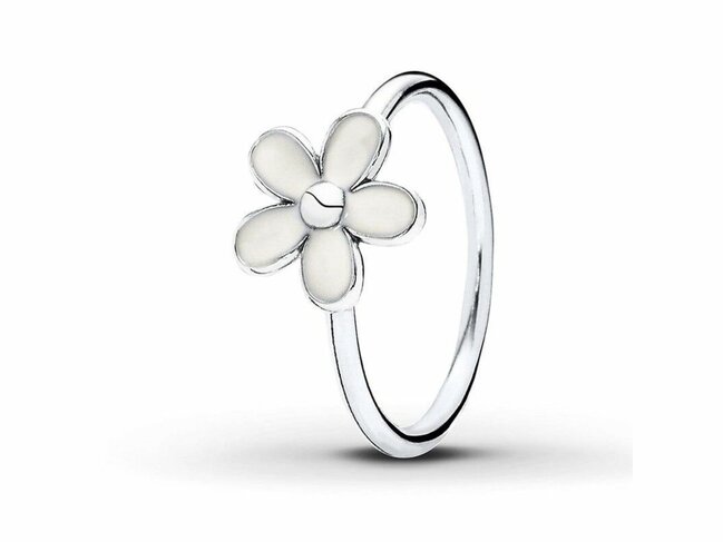 Pandora | Bague | Argent | 190899EN12