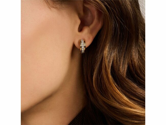 Ti Sento | Boucles D'oreilles | Argent | Plaqué Or | Oxyde De Zirconium | 78100ZY