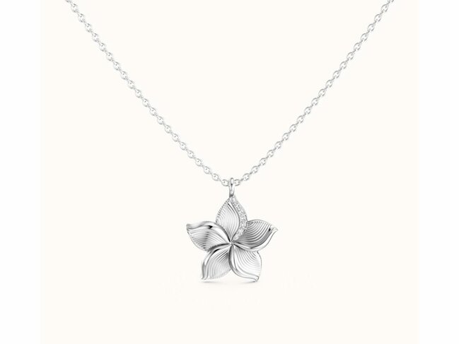 Diamanti Per Tutti | Collier | Argent | Diamant | Bianca | M2704-1S3