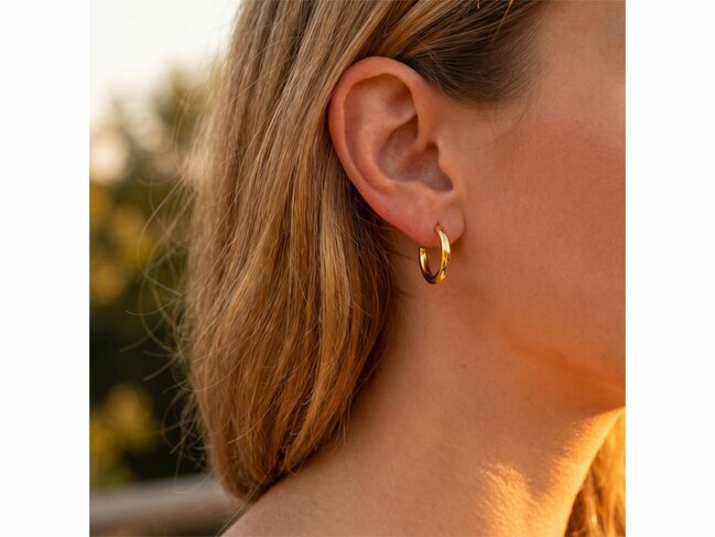 Lotus Style | Boucles D'Oreilles | Acier | Doré | LS2746-4/1