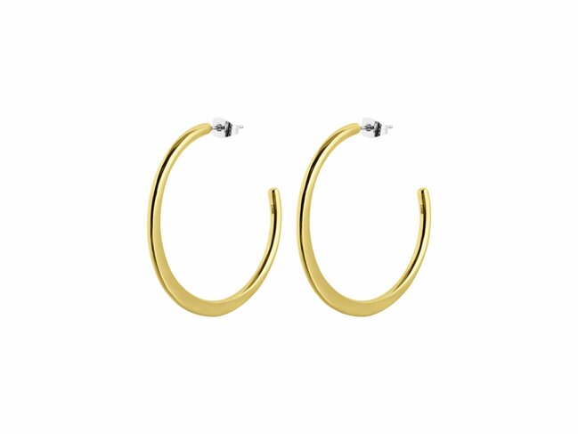 Lotus Style | Boucles D'Oreilles | Acier | Doré | LS2746-4/3