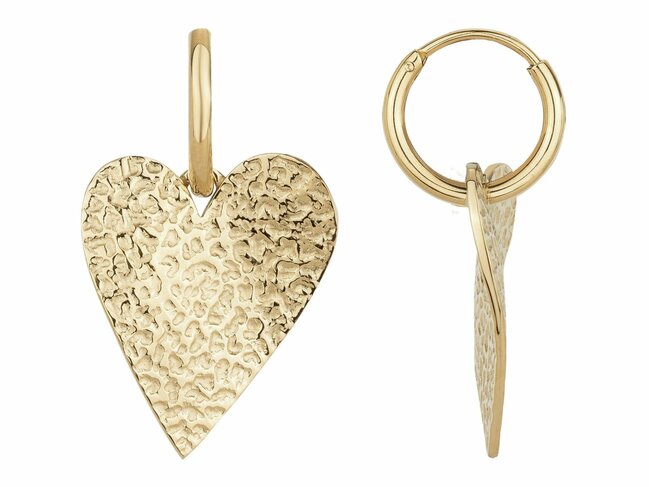Loumya Steel | Boucles d'Oreilles | Acier Inoxydable | Doré | 842-232.J